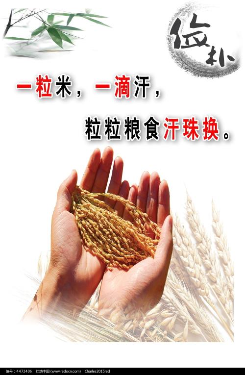 比弗河（Beaver Creek ） 驾驶证办理